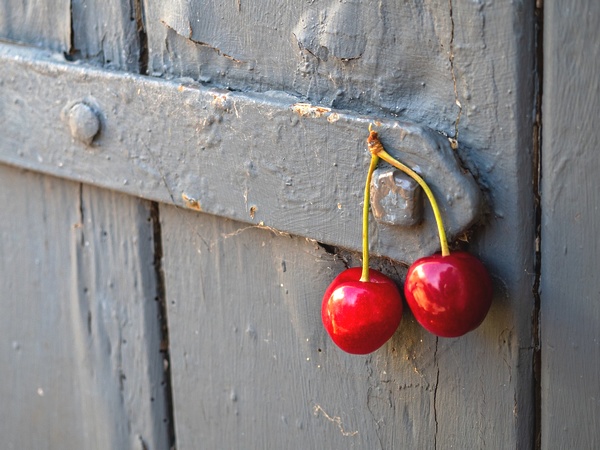 Kirschen cherry-pair-5327783_600_web